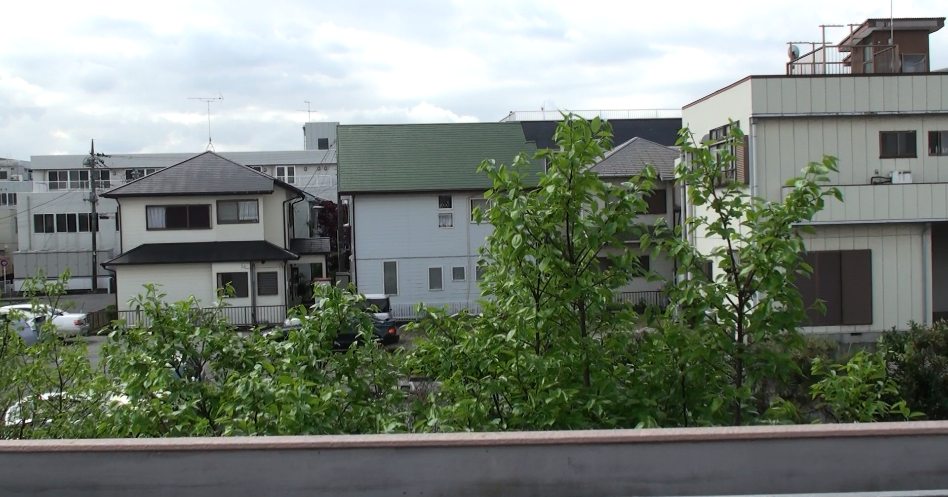 ハイビジョンビデオカメラで撮影した動画。柿の葉